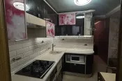 1090 Однокімнатна в центрі